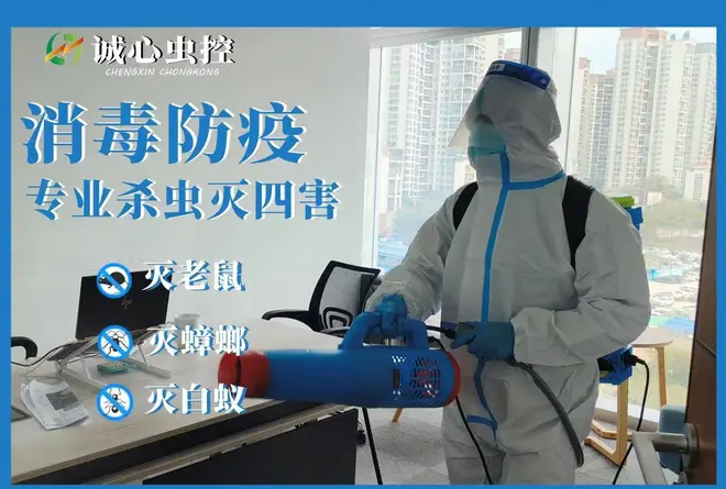 诚心虫控环保生物有限公司·深圳咨询热门、消毒|消毒杀菌|24小时：杀蟑螂上门服务、除白蚁、家政服务公