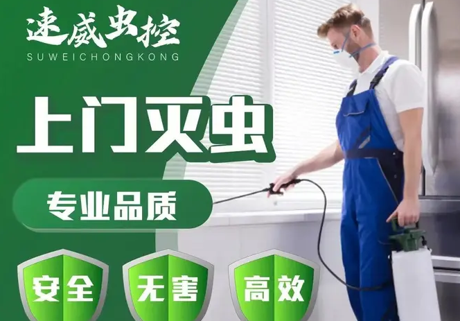 深圳市速威虫控·进口药剂消杀灭蟑螂、饭店快速上门服务灭鼠除蟑螂、灭白蚁臭虫除跳蚤见效快
