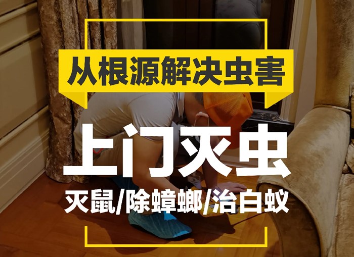 深圳保洁清洗·灭鼠蟑螂白蚁蚊蝇消毒除虫除蚁提供灭跳蚤、除螨、灭蚂蚁服务