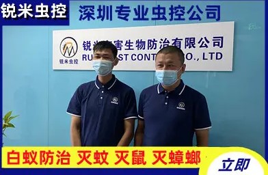 深圳正规消杀公司，专业灭蟑螂，老鼠清理，老鼠消杀